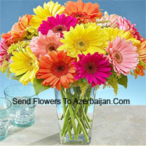 25 Frumoase Gerbera Mixte