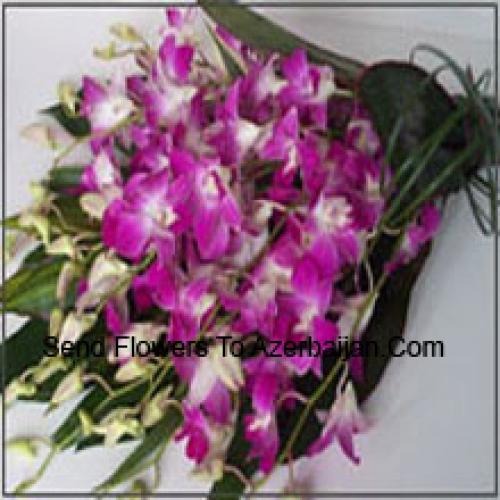 Cute Orchids Bunch