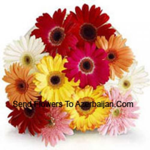 11 Assorted Gerbera's met Vulmiddelen