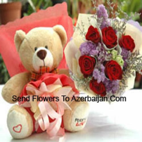 Schöner Teddy mit 7 schönen Rosen