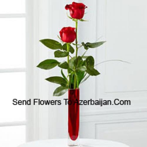 2 Douces Roses Rouges dans un Vase