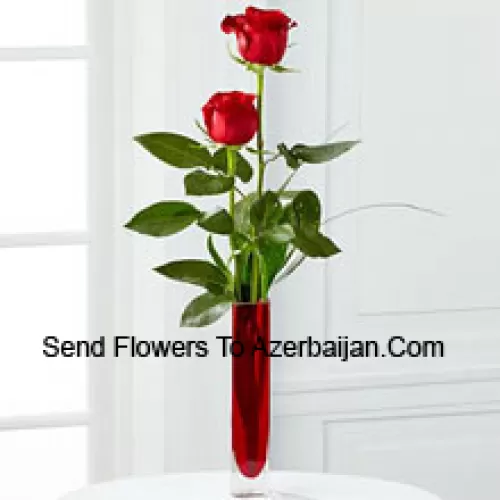 Dos rosas rojas en un jarrón de tubo de ensayo rojo (Nos reservamos el derecho de sustituir el jarrón en caso de falta de disponibilidad. Stock limitado)